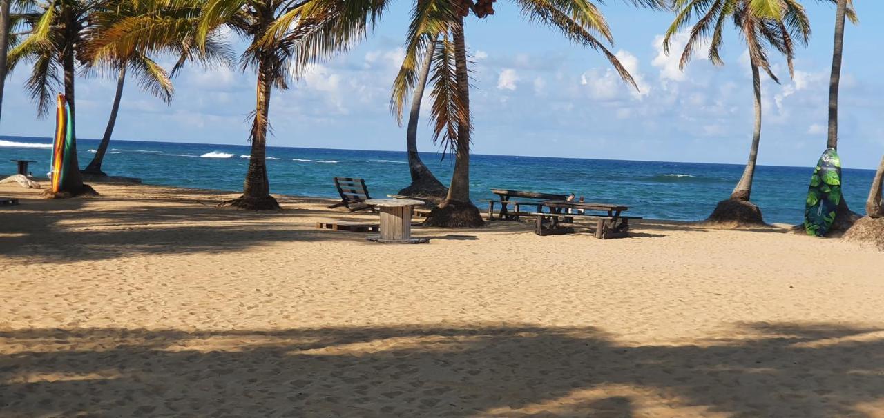Puntacana Ecolodge Lavacama Beach Costa Arrecife By Aa Crypto Group Πούντα Κάνα Εξωτερικό φωτογραφία