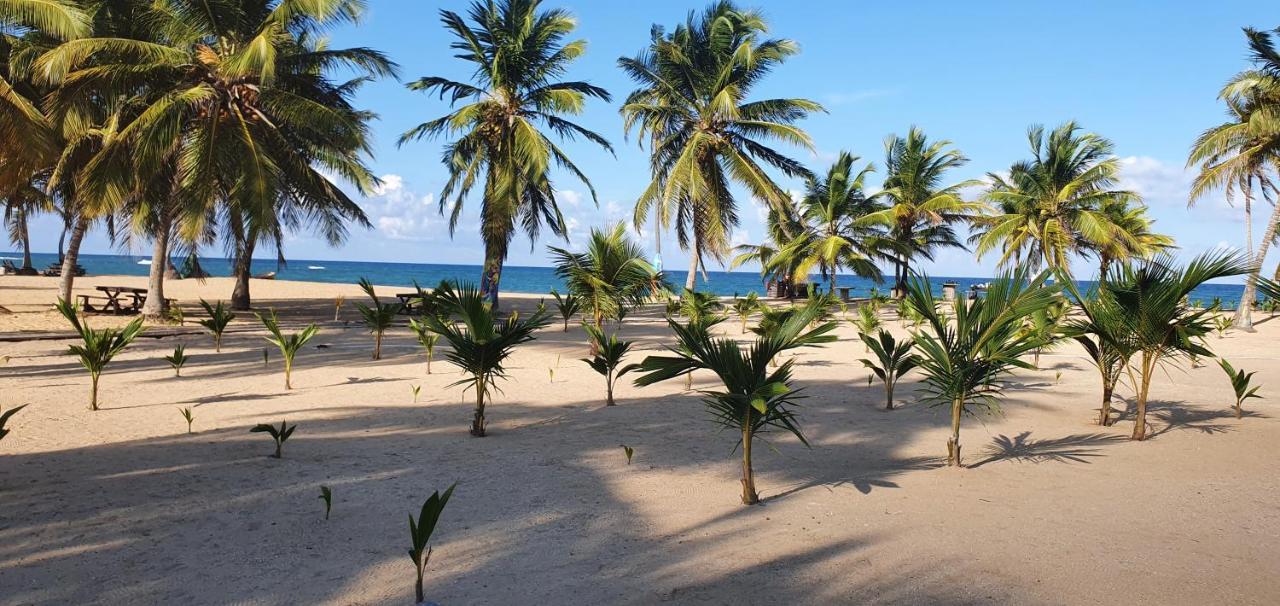 Puntacana Ecolodge Lavacama Beach Costa Arrecife By Aa Crypto Group Πούντα Κάνα Εξωτερικό φωτογραφία