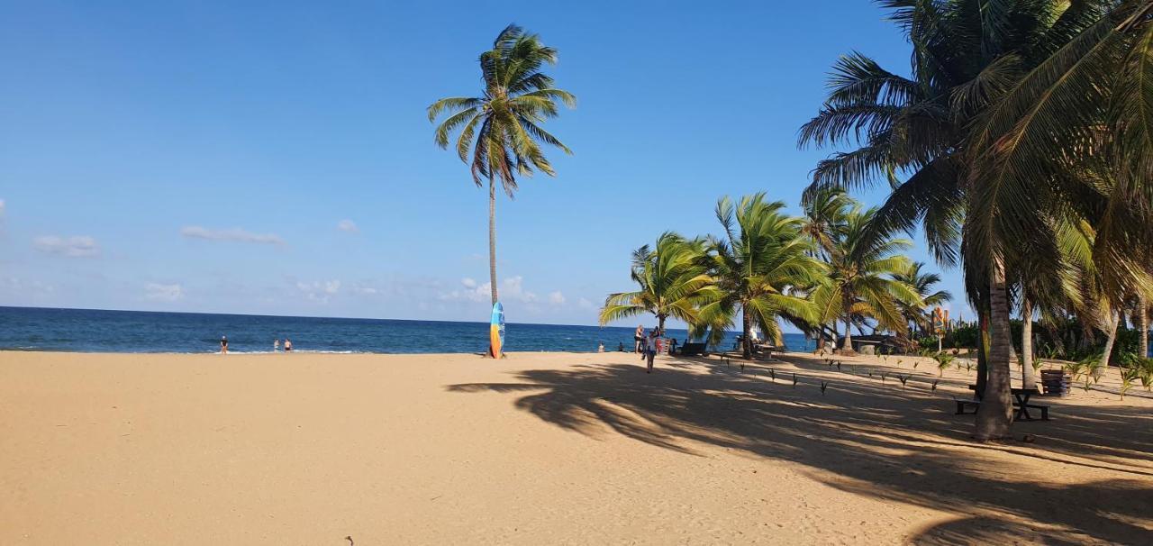 Puntacana Ecolodge Lavacama Beach Costa Arrecife By Aa Crypto Group Πούντα Κάνα Εξωτερικό φωτογραφία