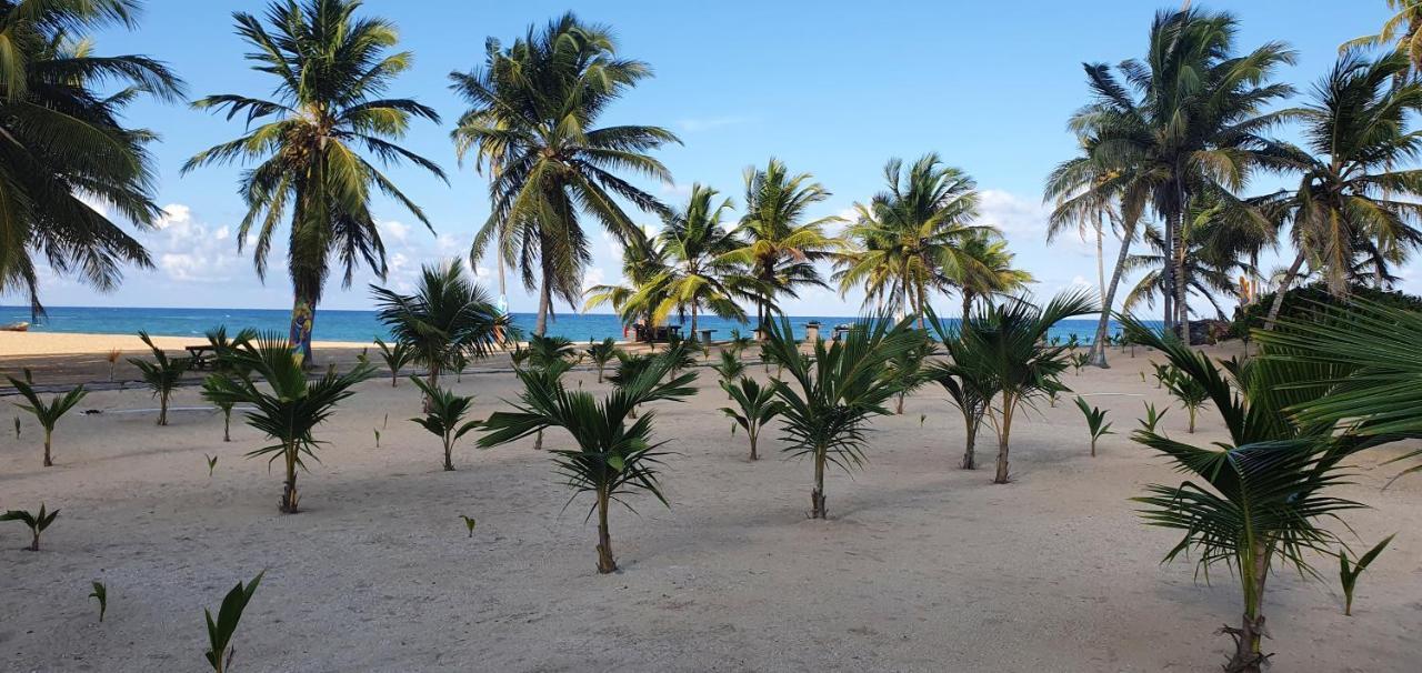 Puntacana Ecolodge Lavacama Beach Costa Arrecife By Aa Crypto Group Πούντα Κάνα Εξωτερικό φωτογραφία