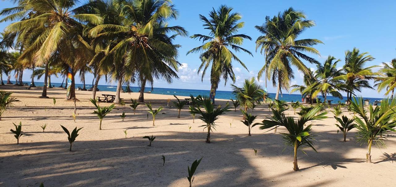 Puntacana Ecolodge Lavacama Beach Costa Arrecife By Aa Crypto Group Πούντα Κάνα Εξωτερικό φωτογραφία