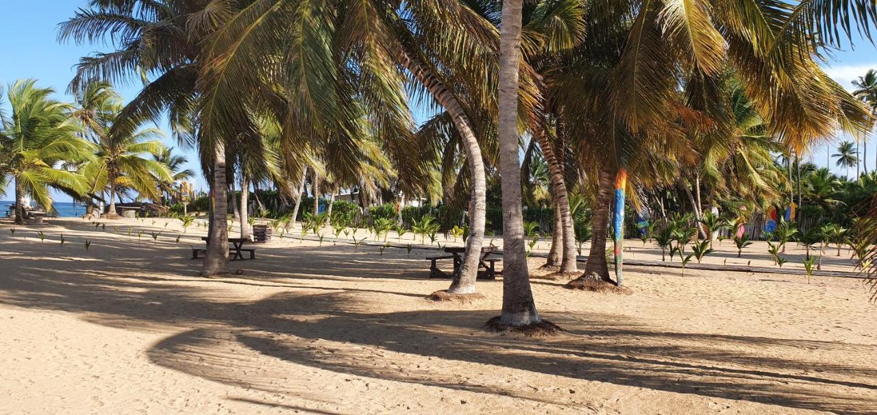 Puntacana Ecolodge Lavacama Beach Costa Arrecife By Aa Crypto Group Πούντα Κάνα Εξωτερικό φωτογραφία