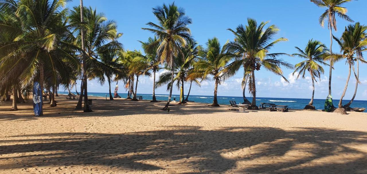 Puntacana Ecolodge Lavacama Beach Costa Arrecife By Aa Crypto Group Πούντα Κάνα Εξωτερικό φωτογραφία