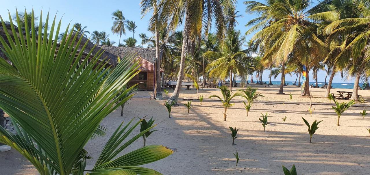Puntacana Ecolodge Lavacama Beach Costa Arrecife By Aa Crypto Group Πούντα Κάνα Εξωτερικό φωτογραφία