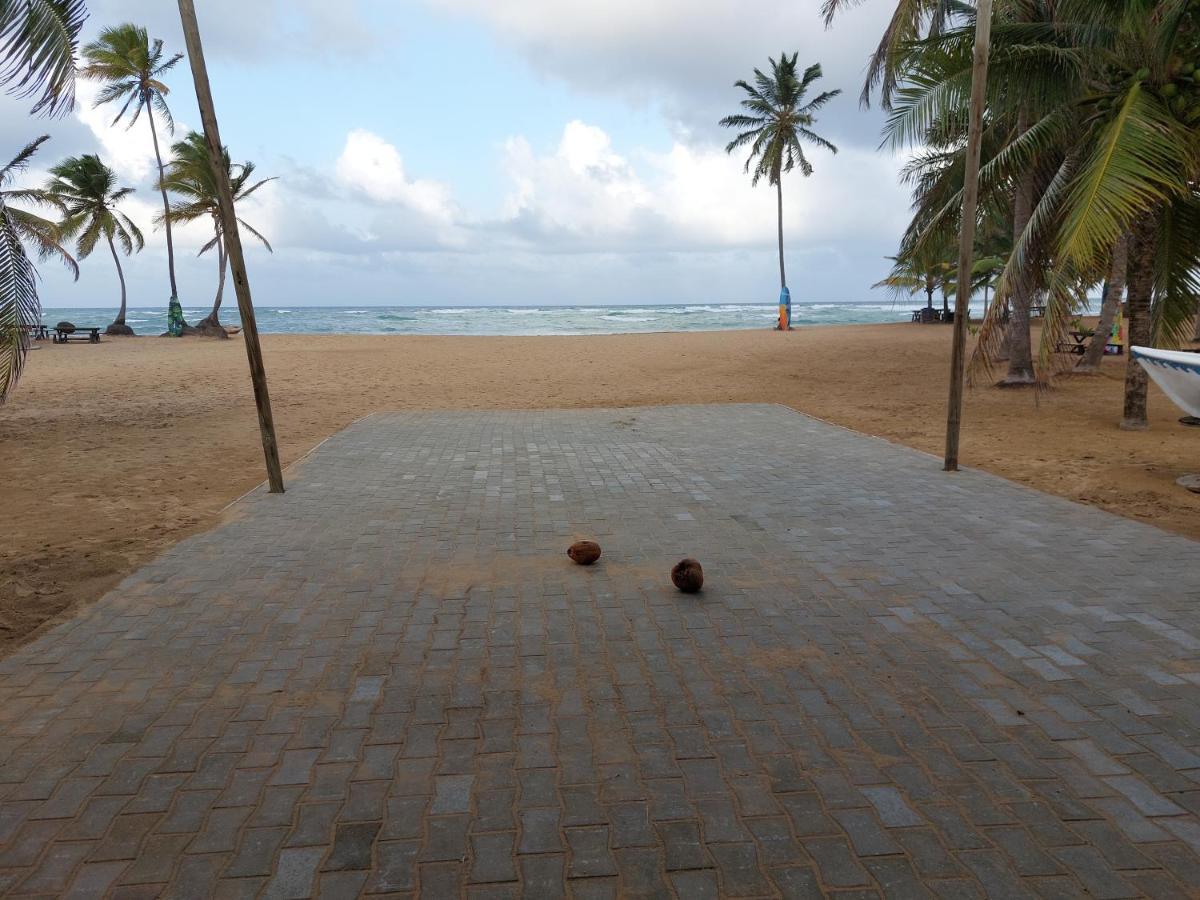 Puntacana Ecolodge Lavacama Beach Costa Arrecife By Aa Crypto Group Πούντα Κάνα Εξωτερικό φωτογραφία