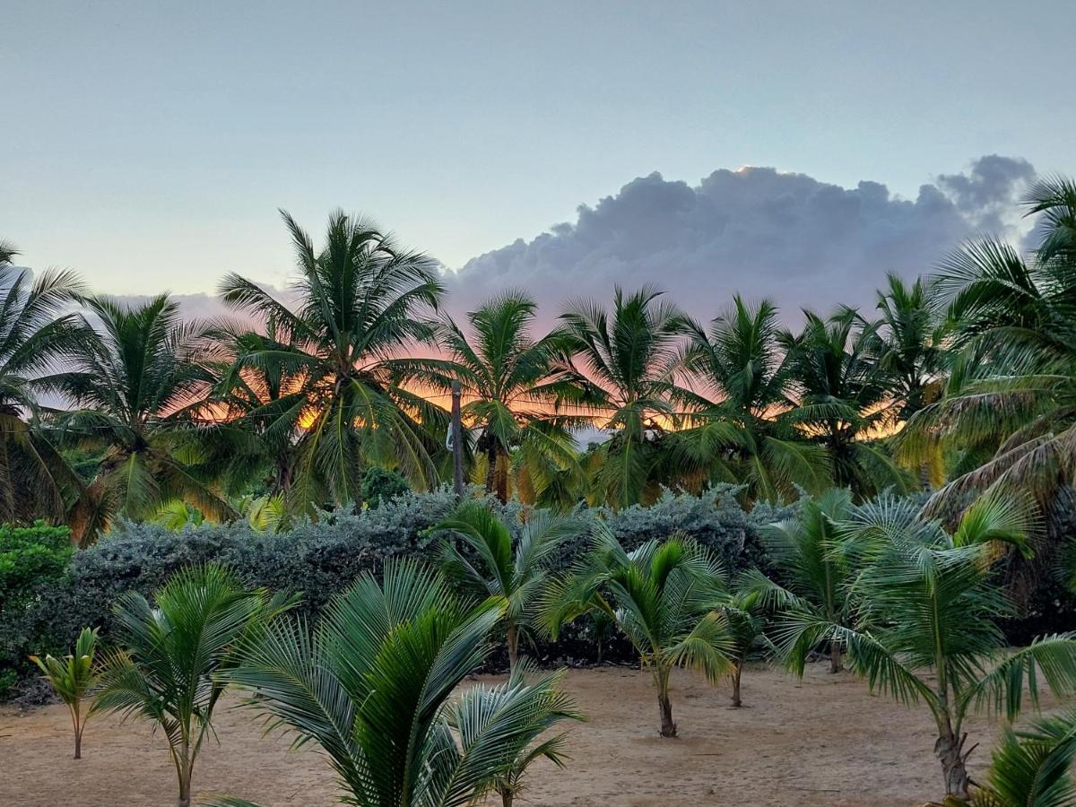 Puntacana Ecolodge Lavacama Beach Costa Arrecife By Aa Crypto Group Πούντα Κάνα Εξωτερικό φωτογραφία