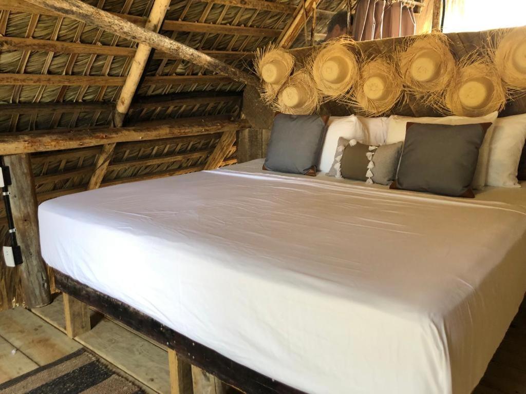 Puntacana Ecolodge Lavacama Beach Costa Arrecife By Aa Crypto Group Πούντα Κάνα Εξωτερικό φωτογραφία