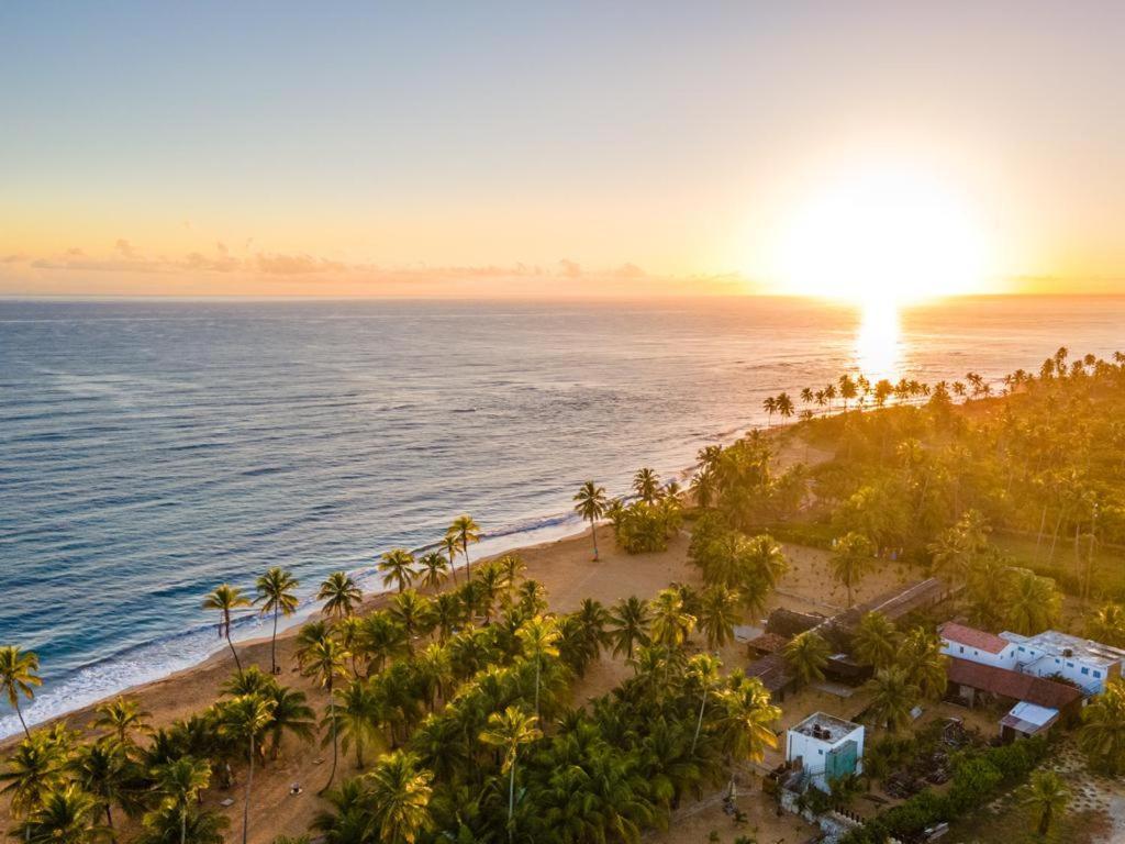 Puntacana Ecolodge Lavacama Beach Costa Arrecife By Aa Crypto Group Πούντα Κάνα Εξωτερικό φωτογραφία