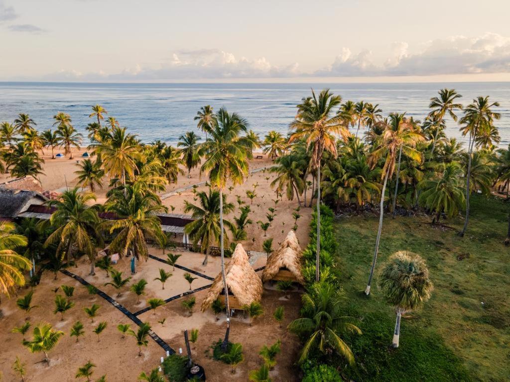 Puntacana Ecolodge Lavacama Beach Costa Arrecife By Aa Crypto Group Πούντα Κάνα Εξωτερικό φωτογραφία
