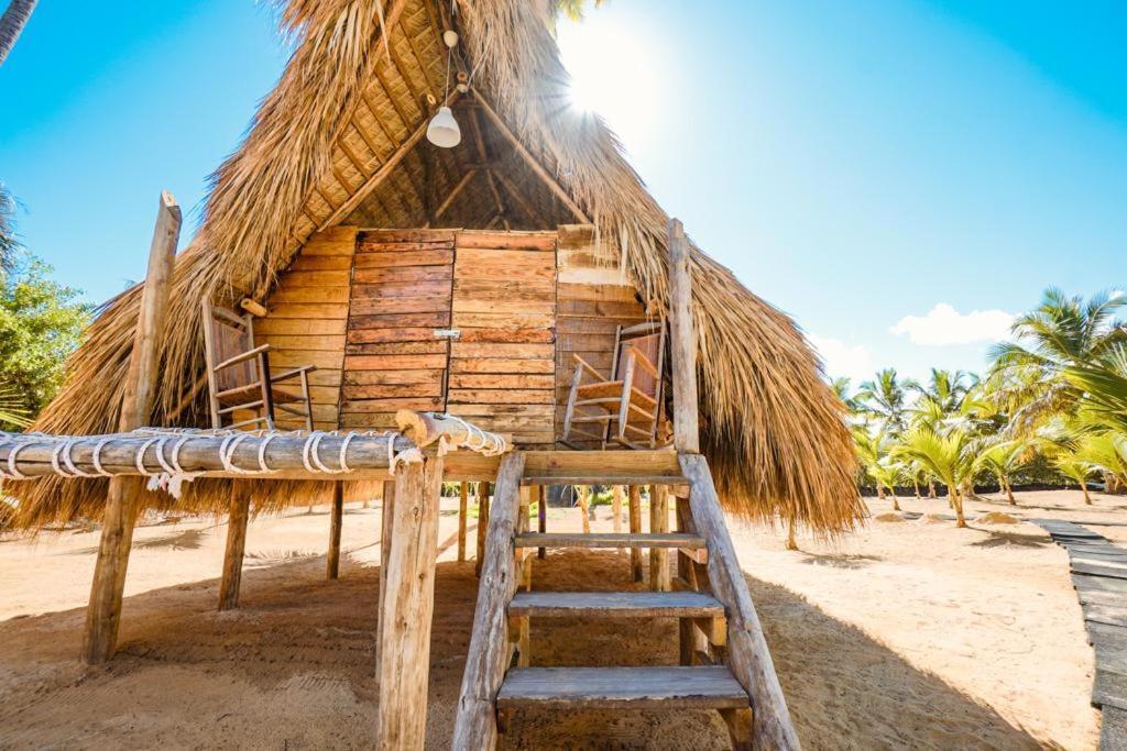 Puntacana Ecolodge Lavacama Beach Costa Arrecife By Aa Crypto Group Πούντα Κάνα Εξωτερικό φωτογραφία