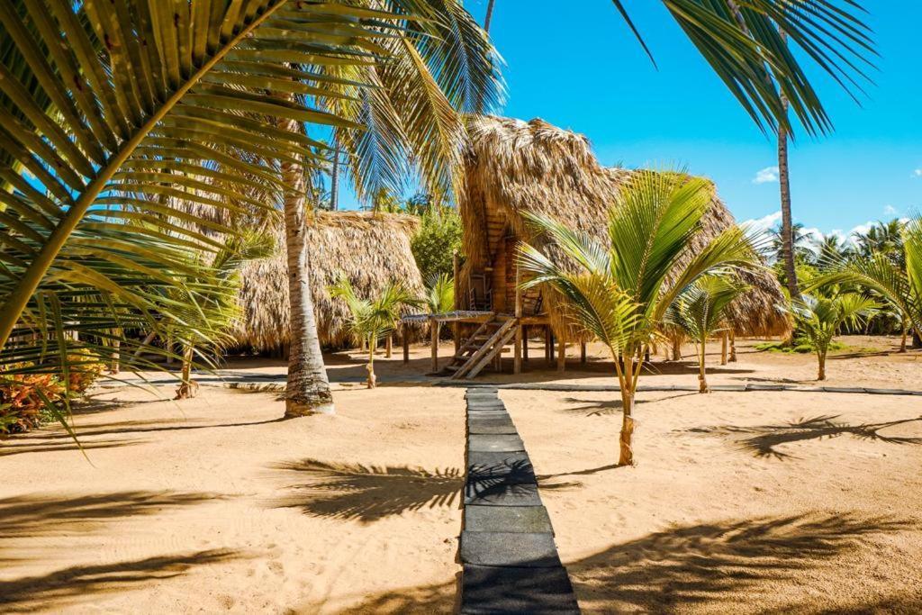 Puntacana Ecolodge Lavacama Beach Costa Arrecife By Aa Crypto Group Πούντα Κάνα Εξωτερικό φωτογραφία