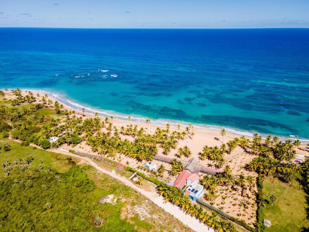 Puntacana Ecolodge Lavacama Beach Costa Arrecife By Aa Crypto Group Πούντα Κάνα Εξωτερικό φωτογραφία