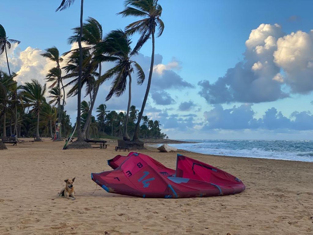 Puntacana Ecolodge Lavacama Beach Costa Arrecife By Aa Crypto Group Πούντα Κάνα Εξωτερικό φωτογραφία
